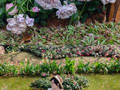 -人民公园(罗湖区)