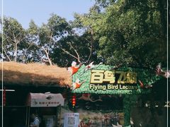 -广州长隆飞鸟乐园