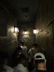 -翱翔飞越地平线