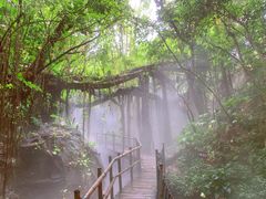 -青青世界