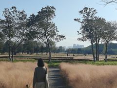 -汉长安城未央宫国家考古遗址公园