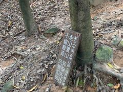-天鹿湖森林公园