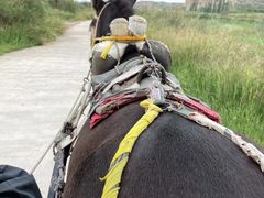 -水洞沟旅游区