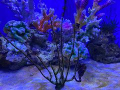 -多彩贵州城极地海洋世界