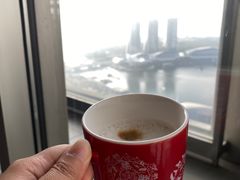 -新加坡瑞士史丹福酒店