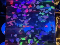 -合肥海洋世界