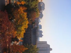 -中央民族大学