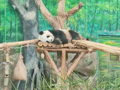 -灵玲国际马戏城