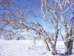 -房地产交易中心-停车场