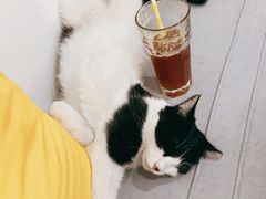 -五进制 Coffee Shop