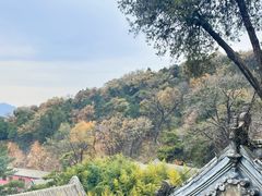 -潭柘寺景区