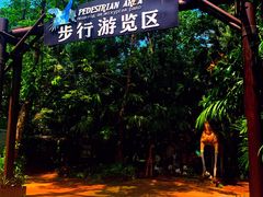 -海南热带野生动植物园