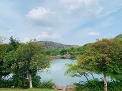 -白马涧龙池景区