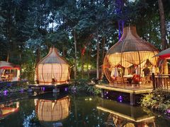 -二荆条·蜀鲜汇城市森林火锅