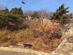 -香山公园