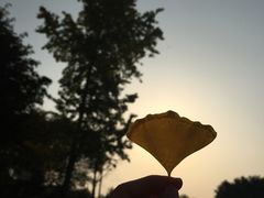 -富乐山