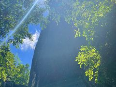 -武夷山风景名胜区-虎啸岩