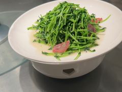 -潮界(凯德晶萃店)