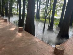 -东湖落雁景区