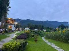 -云禾壹海景庄园餐厅