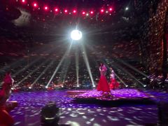 -珠海横琴长隆《卡卡虎奇遇记》