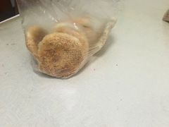 -朱记小郑酥烧饼(建康路店)