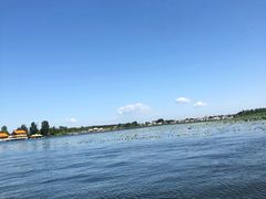 -白洋淀景区