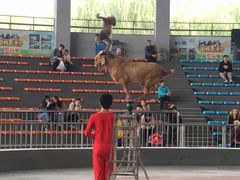 -石家庄市动物园