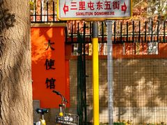 -三里屯东五街银杏大道
