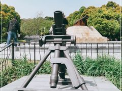 -上海吴淞炮台湾国家湿地公园