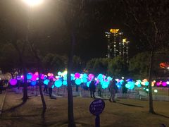 -锦江乐园舞狸花花游园会(夜场专享)