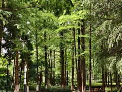 -苏州河梦清园环保主题公园