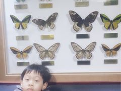 -上海昆虫博物馆