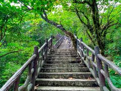 -瓦屋山景区