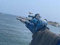 -大连老虎滩海洋公园