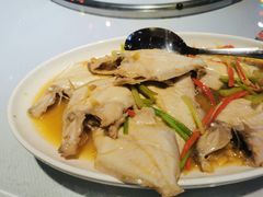 普宁豆酱煮剥皮鱼-老六海鲜城