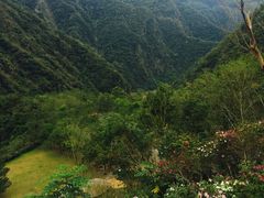 -太鲁阁公园