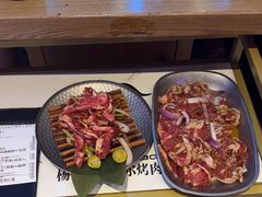 -杨记齐齐哈尔烤肉(总店)