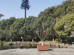 -白马涧龙池景区