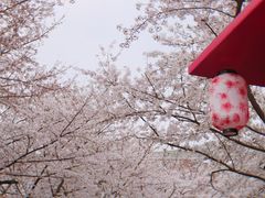 -大宁公园