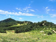 -白草畔自然风景区