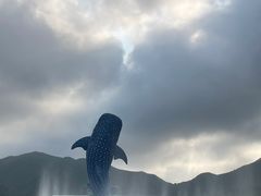 -珠海长隆海洋王国
