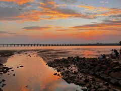 -宝安西湾红树林湿地公园