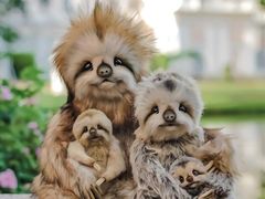 -Dragonfly悠庭·按摩Spa(静安嘉里中心店)