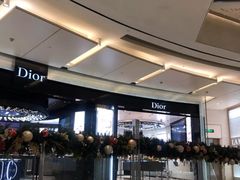-Dior迪奥(上海世茂广场店)