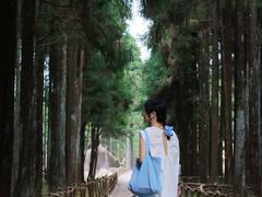 -玉苍山国家森林公园