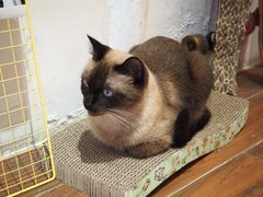 -About Bistro關於·泰式家庭料理