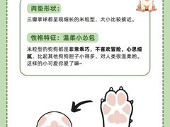 -爱侣宠医·鹦鹉专科·小型哺乳类·异宠专科(灵石路店)