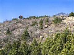 -白水寺森林公园