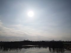 -白鹭湾湿地公园
